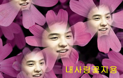 도우리 이미지