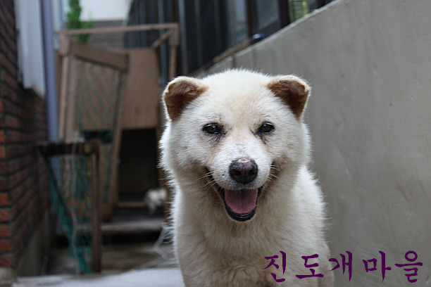 성웅 이미지
