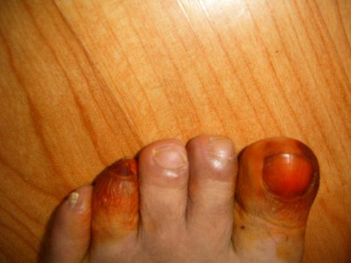 À̹ÌÁö¸¦ Ŭ¸¯ÇÏ¸é ¿øº»À» º¸½Ç ¼ö ÀÖ½À´Ï´Ù.