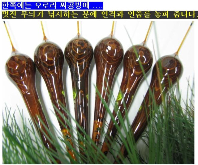 오로 이미지