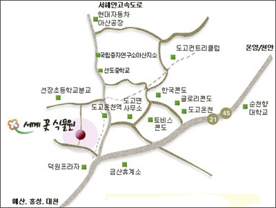 (주)파라다이스 도고지점 이미지