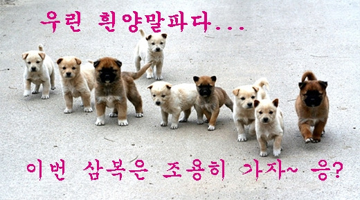 복 이미지