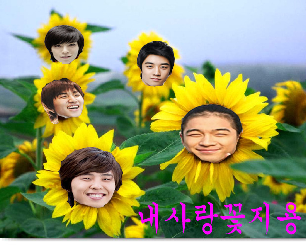 도우리 이미지