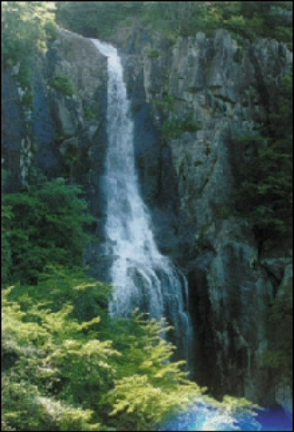 남산고을 이미지
