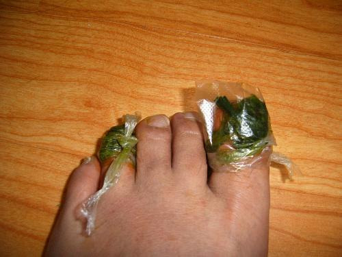 À̹ÌÁö¸¦ Ŭ¸¯ÇÏ¸é ¿øº»À» º¸½Ç ¼ö ÀÖ½À´Ï´Ù.