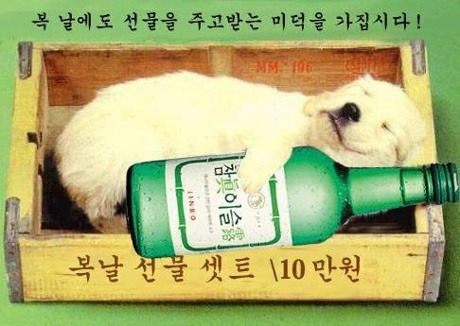 터니 이미지